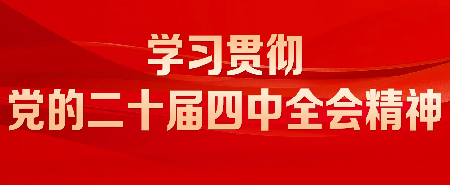 学习贯彻党的二十届四中全会精神